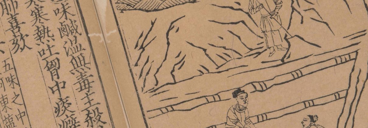 新编类要图注本草