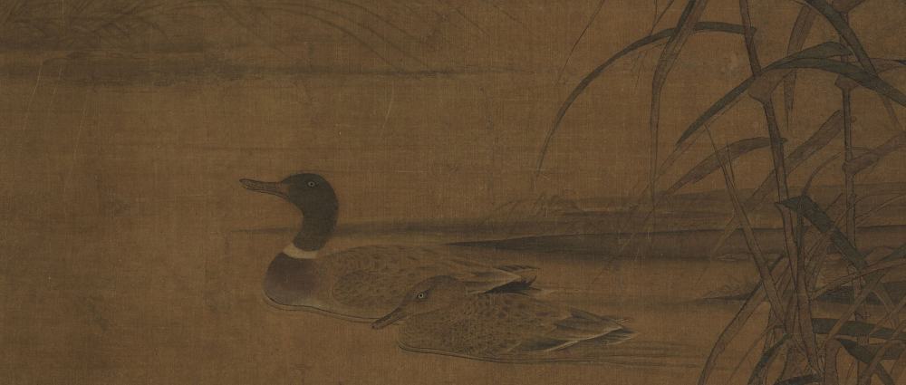芦汀双鸭