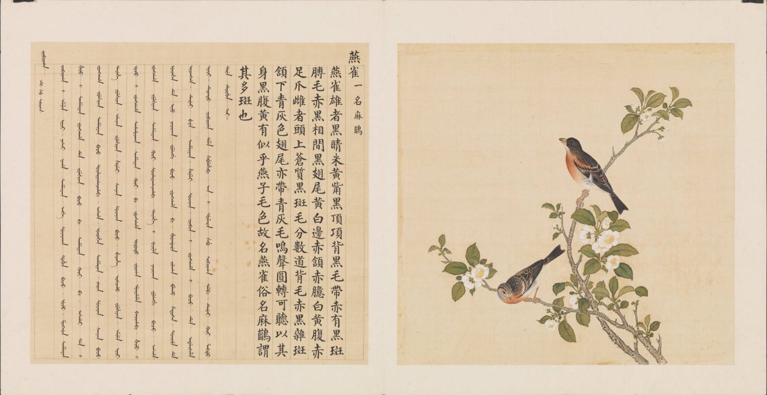 1997年初版「The Manual of Birds（故宮鳥譜）」 Jiang Tingxi 1669 - 1732 蔣廷錫| An Imperial manual of Birds