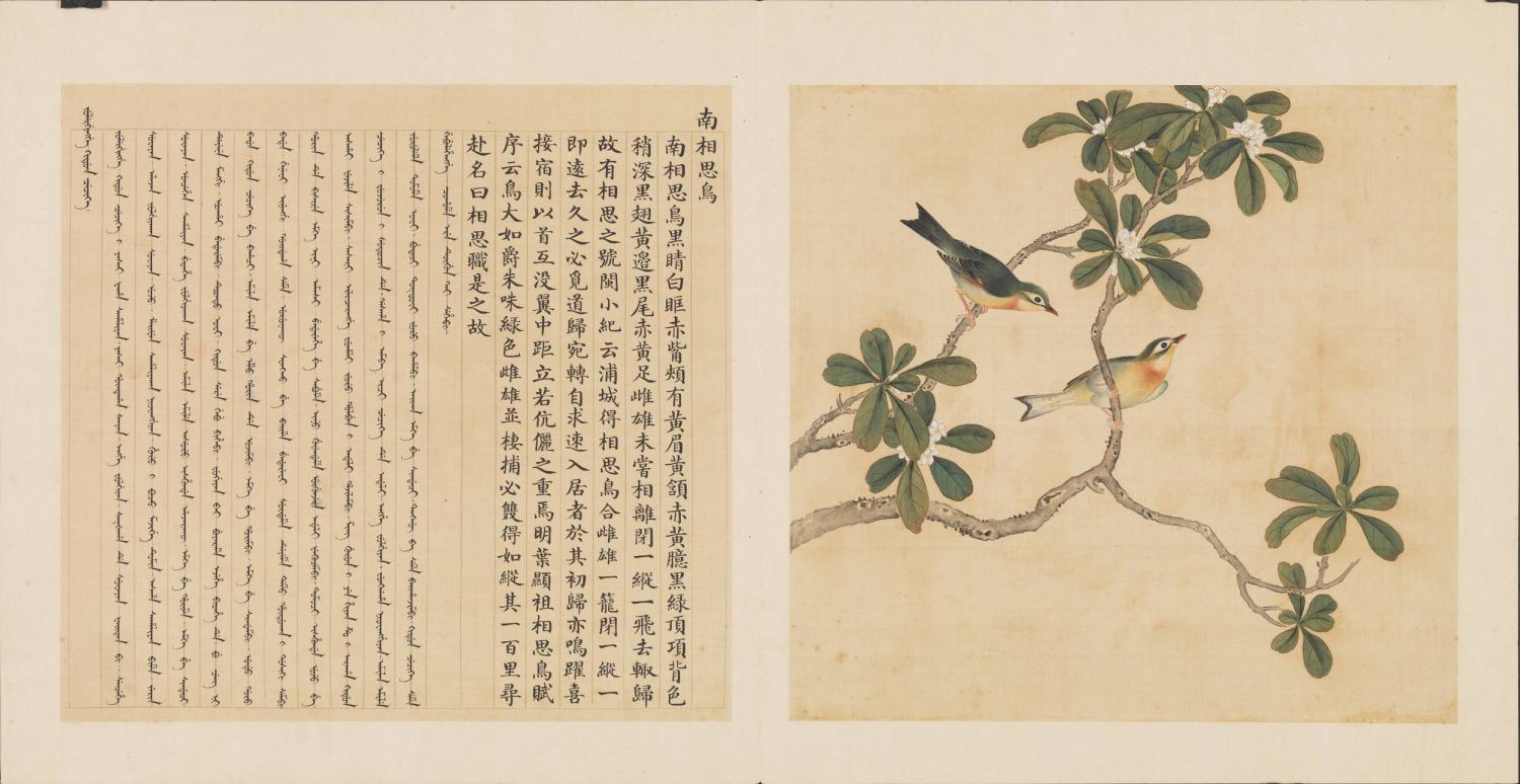 1997年初版「The Manual of Birds（故宮鳥譜）」 Illustrations from Ching Dynasty Bird Manual - 故宫鸟谱古画