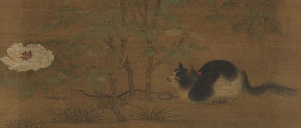 宋人富貴花狸