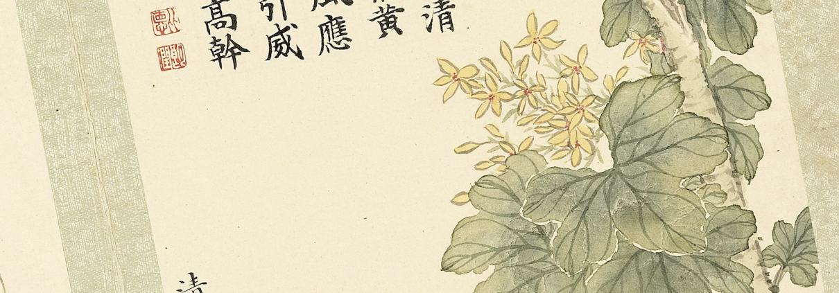 二十四番花信风图册