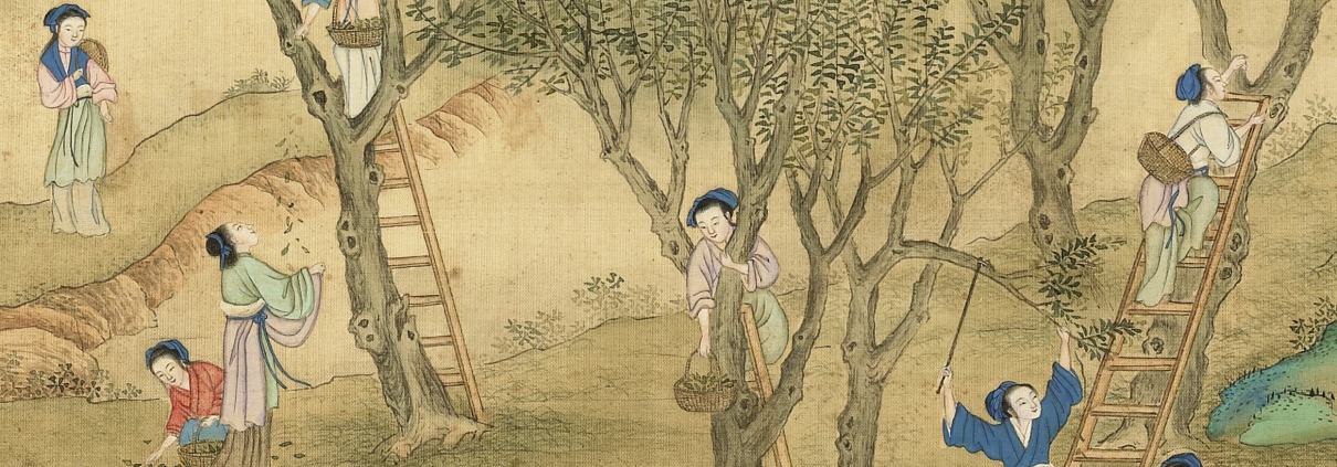 豳风十二月图说