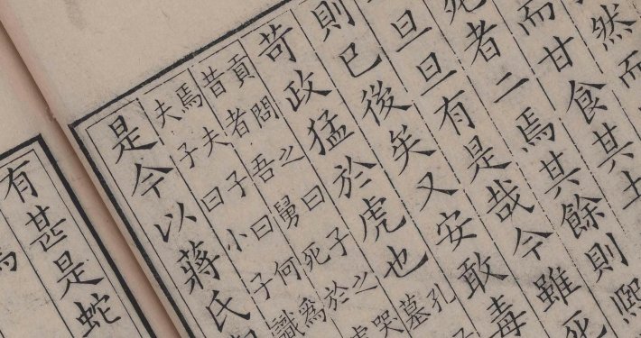河东先生集