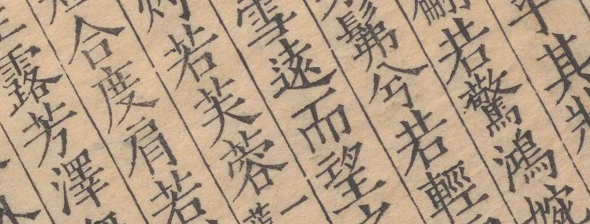 翩若惊鸿，婉若游龙