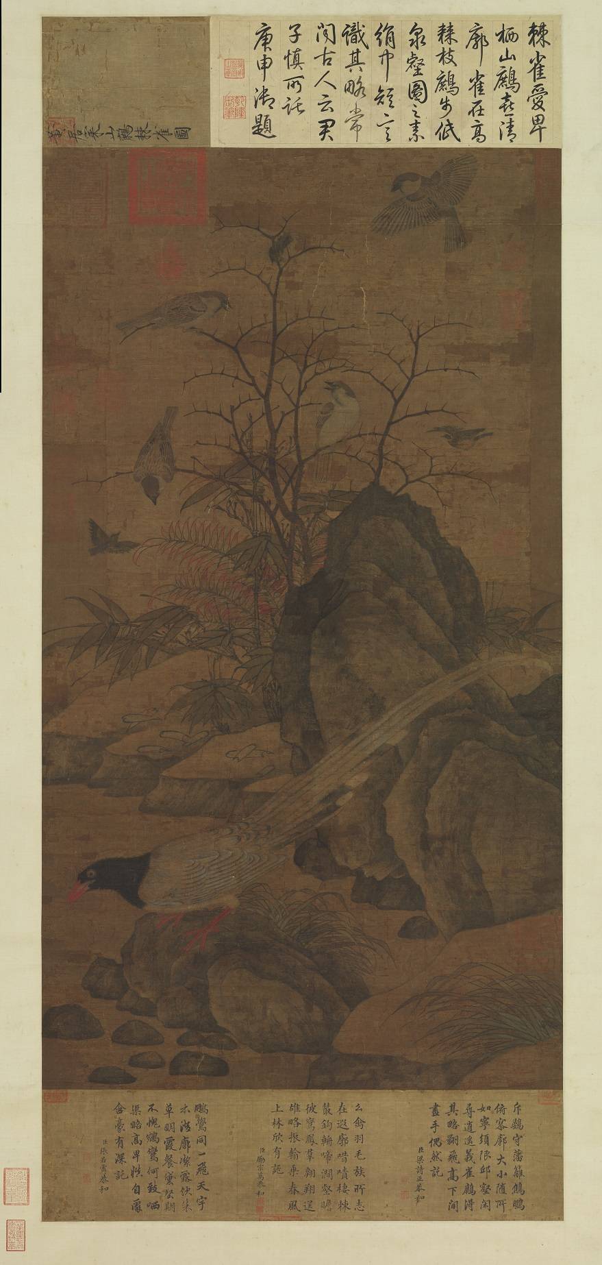 宋黃居寀.山鷓棘雀圖軸.故畫000039.台北故宫藏.3515x7383 - 副本