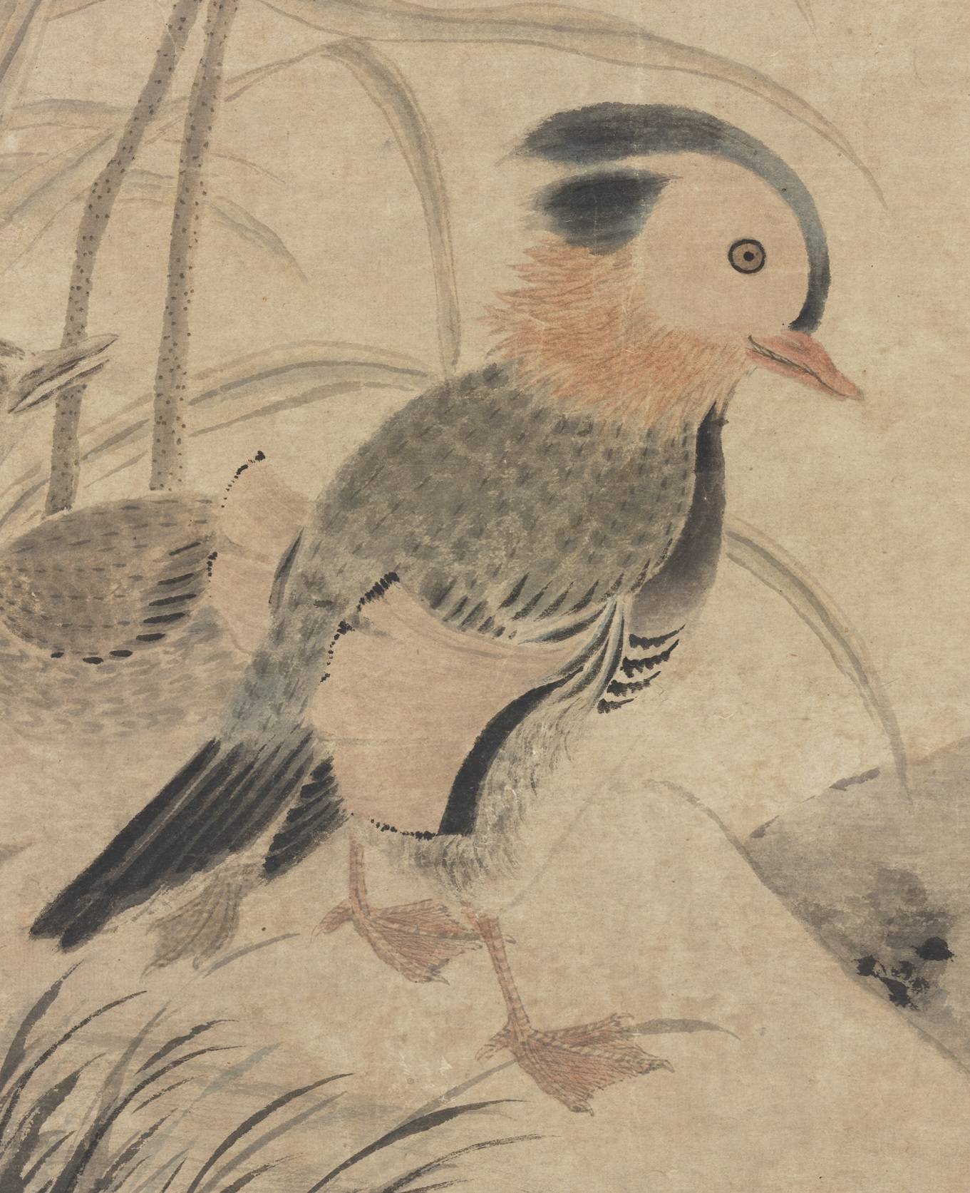 元 張中 枯荷鸂鶒軸.故畫000311.2340x5899 - 副本