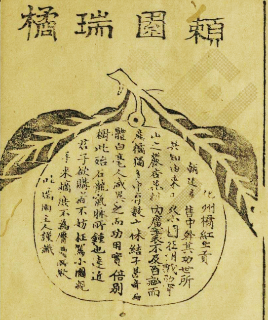 搜狗截图20230805091353