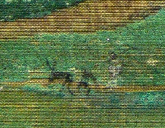 Snipaste_2023-10-24_19-25-09