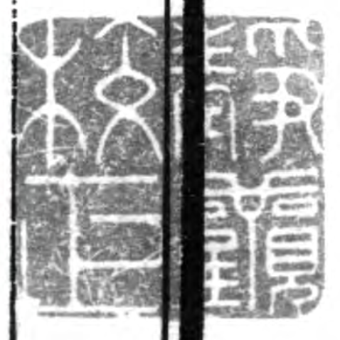 屏幕截图 2024-12-19 151206