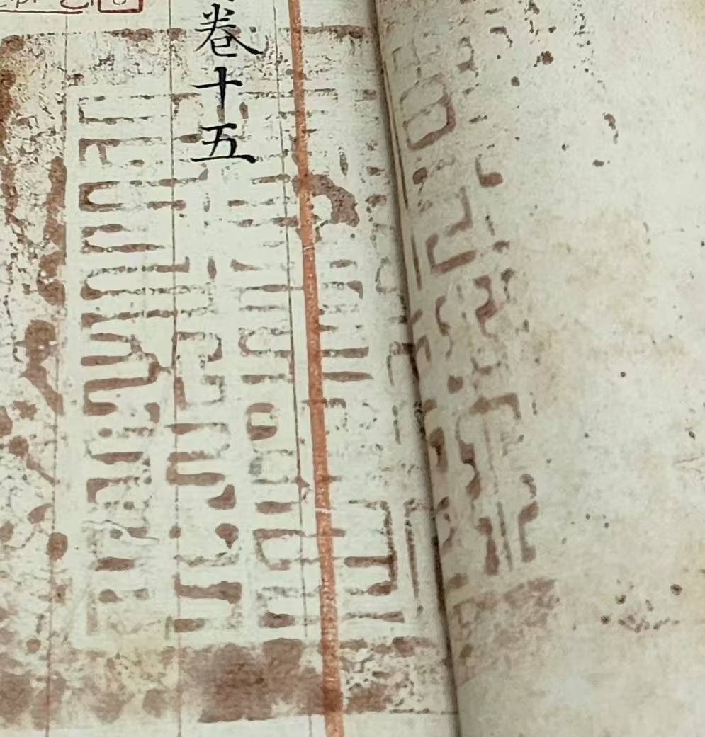 WechatIMG1652