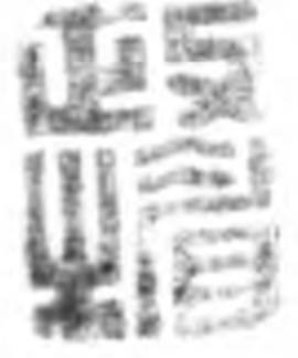 WechatIMG1746