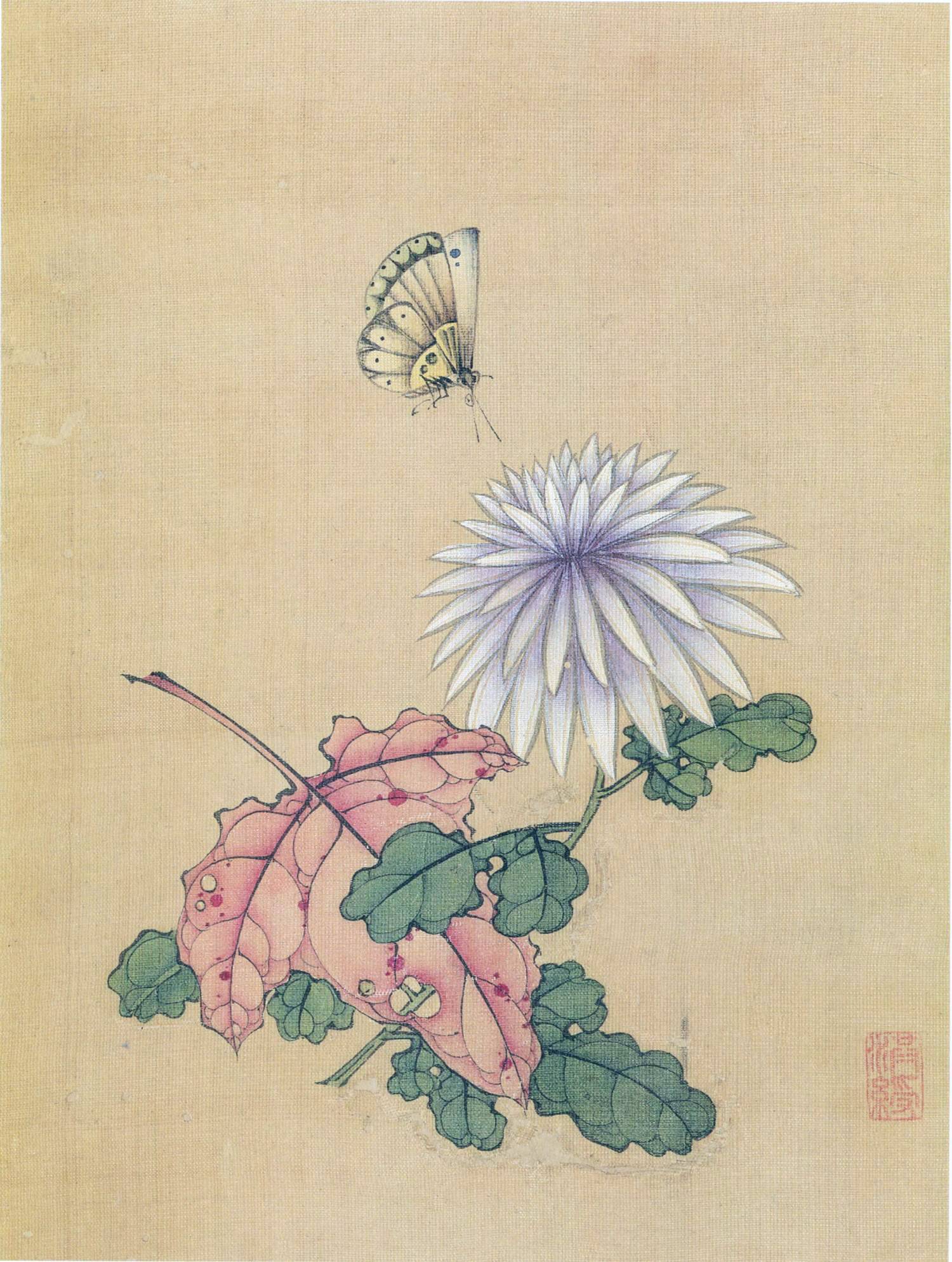 navs99zg55afupxbweclq695mgua11uc1