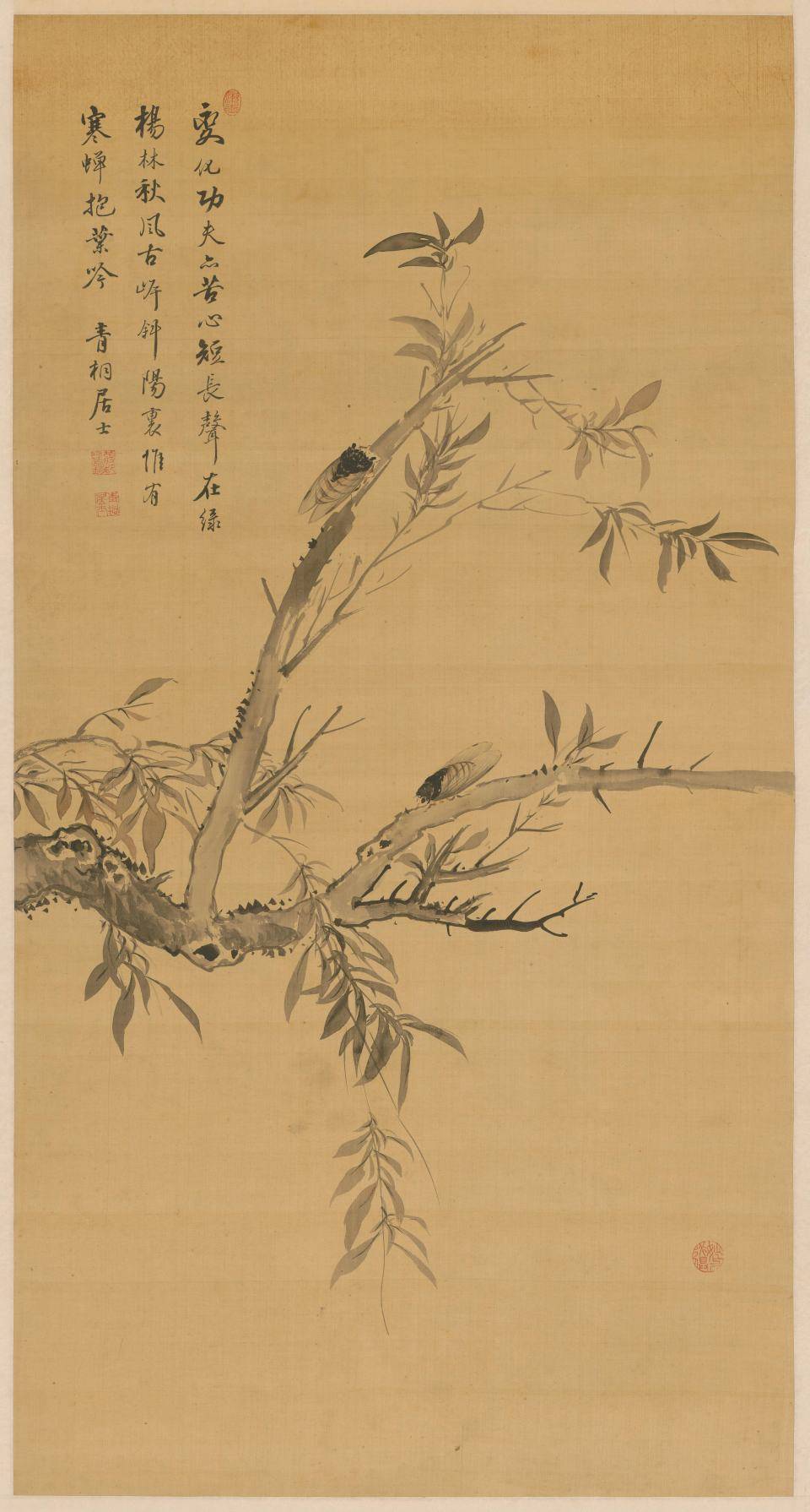 寒蝉抱叶图轴.清.蒋廷锡作.绢本墨笔（93x48.5厘米）北京故宫博物院藏