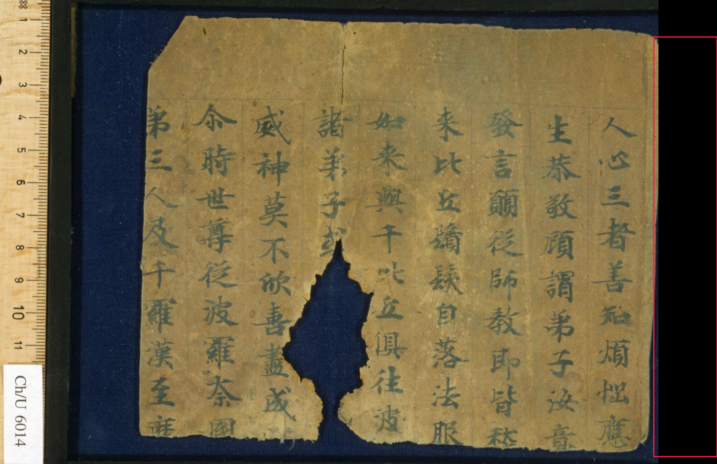 截图_选择区域_20251103191426