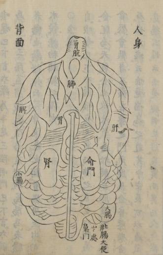 082744bp7782nw7ee8bf91