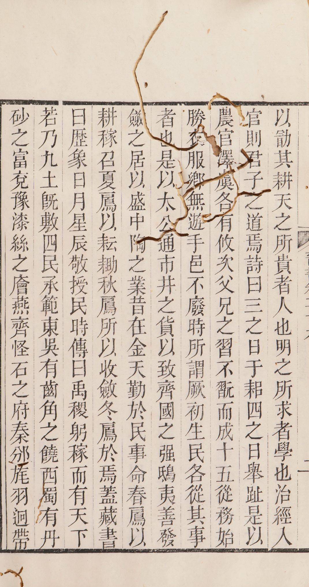 20251225040047-1766606447373-6