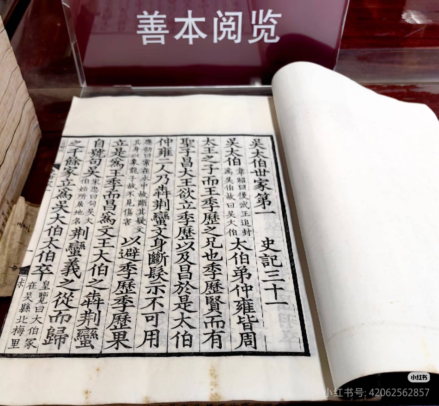 Camera_1040g3k831pfedcg4iab05q92mmtdtscej2o36ig