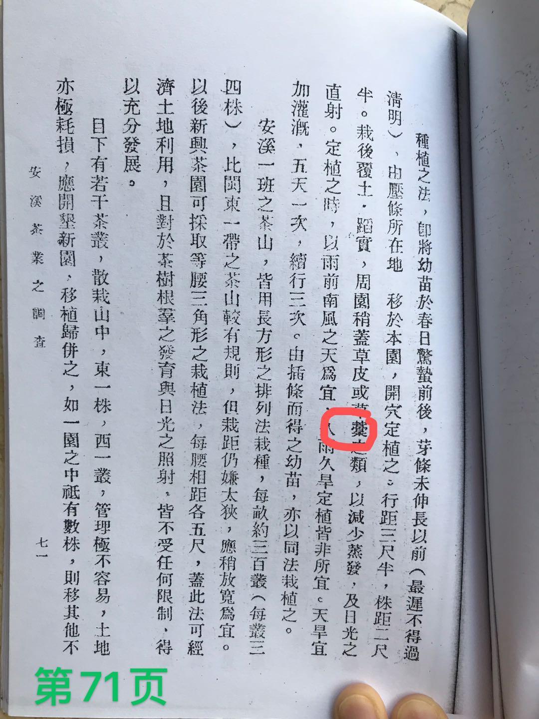 第一个字