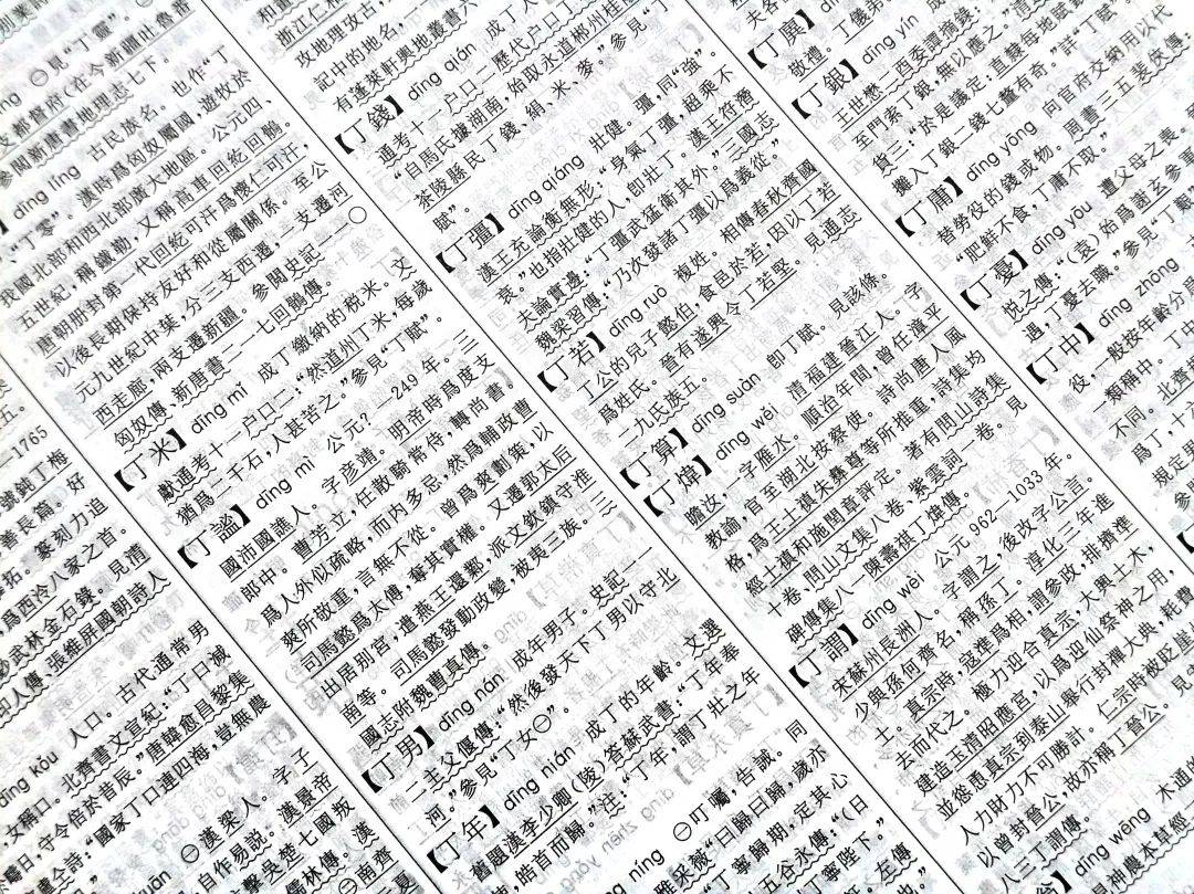 《辞源》(第三版·音序本)