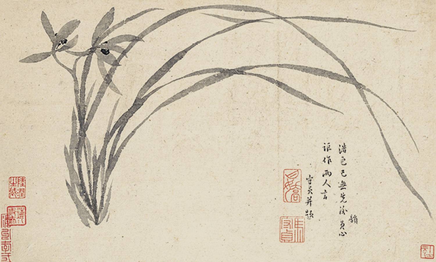 微信图片_2026-01-29_163319_939