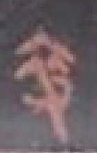 Sn.02.13日-14.22.20