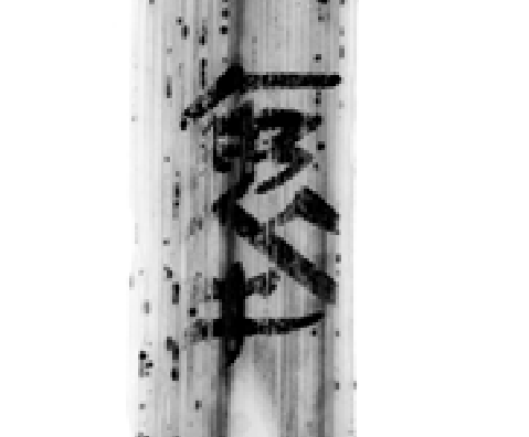 Sn.02.13日-21.07.19