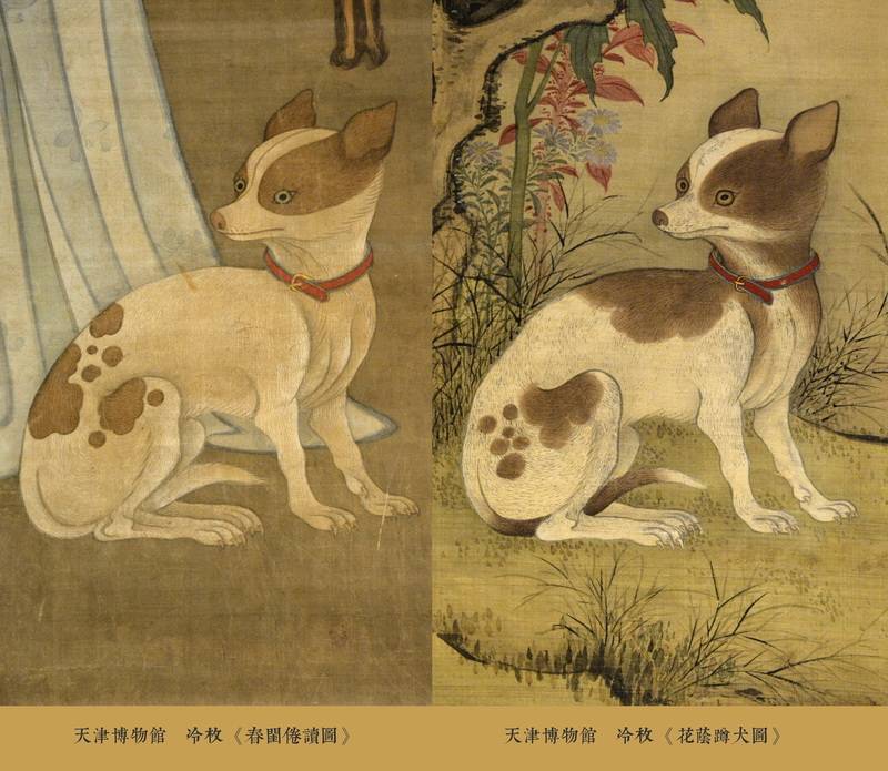对照图3