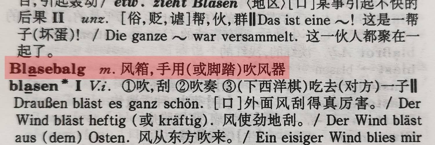 德语单词Blasebalg
