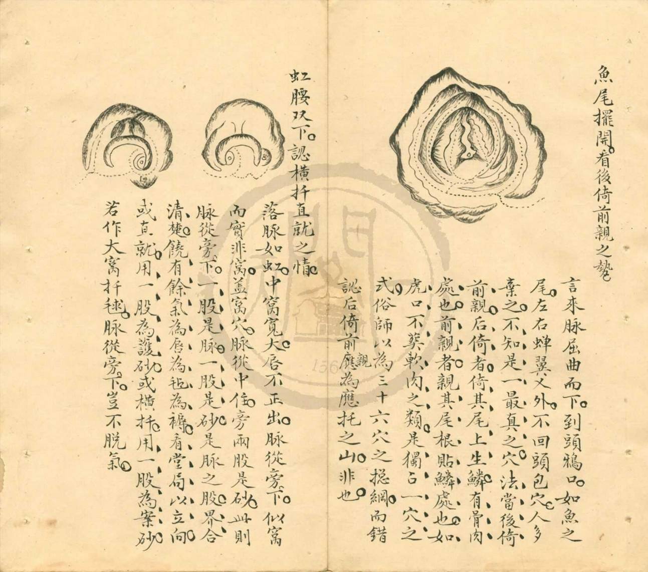 Snipaste_2022-11-04_08-48-56