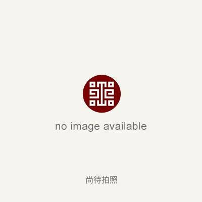 K2A000480N000000000PAD_看图王
