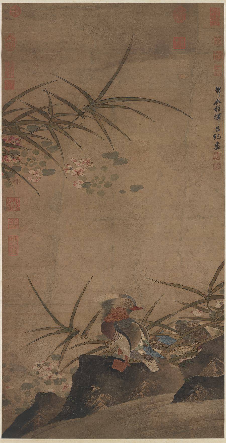 鸳鸯图轴.明.吕纪画.纸本设色(107.4x54.5厘米).3776x7406像素.台北故宫博物院藏