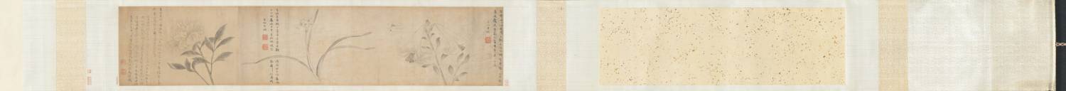 元 趙衷 墨花圖卷