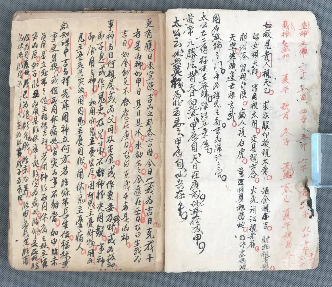 cf30261a4e628186